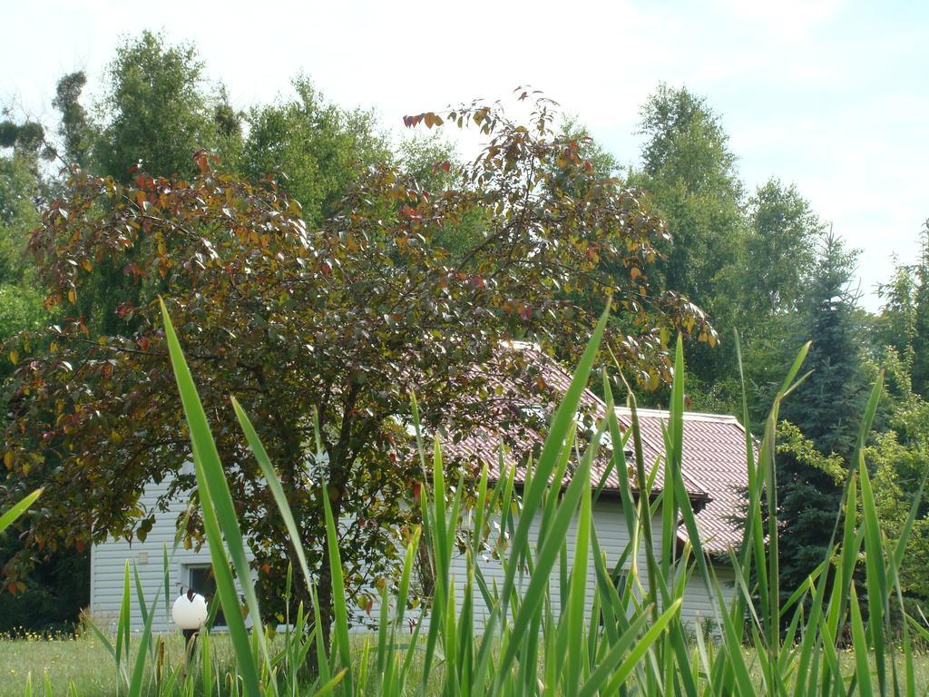 Bobrowa Dolina Bed and Breakfast Ryn  Værelse billede