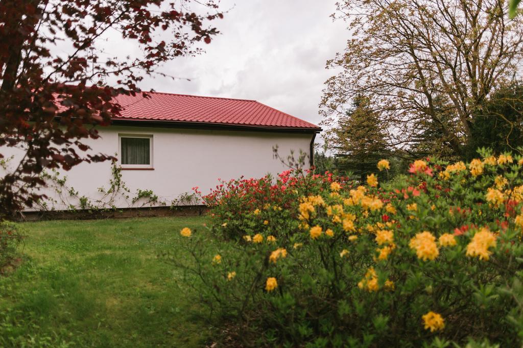 Bobrowa Dolina Bed and Breakfast Ryn  Eksteriør billede